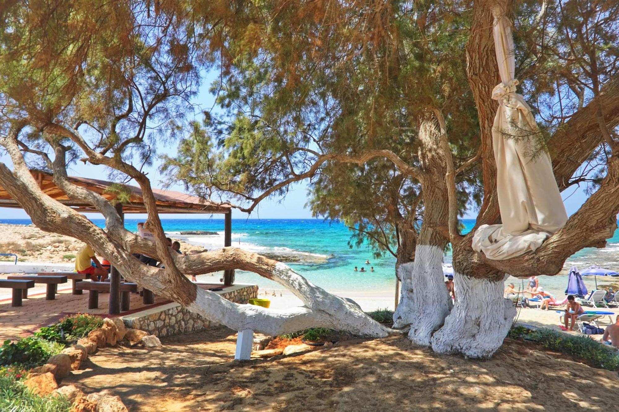 Sea Pearl Beachfront Villas - Breeze Ajía Nápa Kültér fotó
